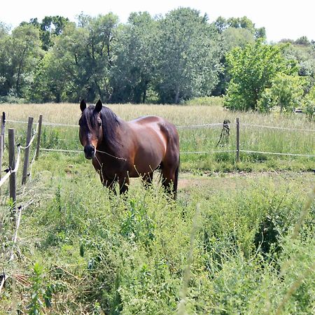 Lobilum En Camargue Villa Saint-Martin-de-Crau Luaran gambar