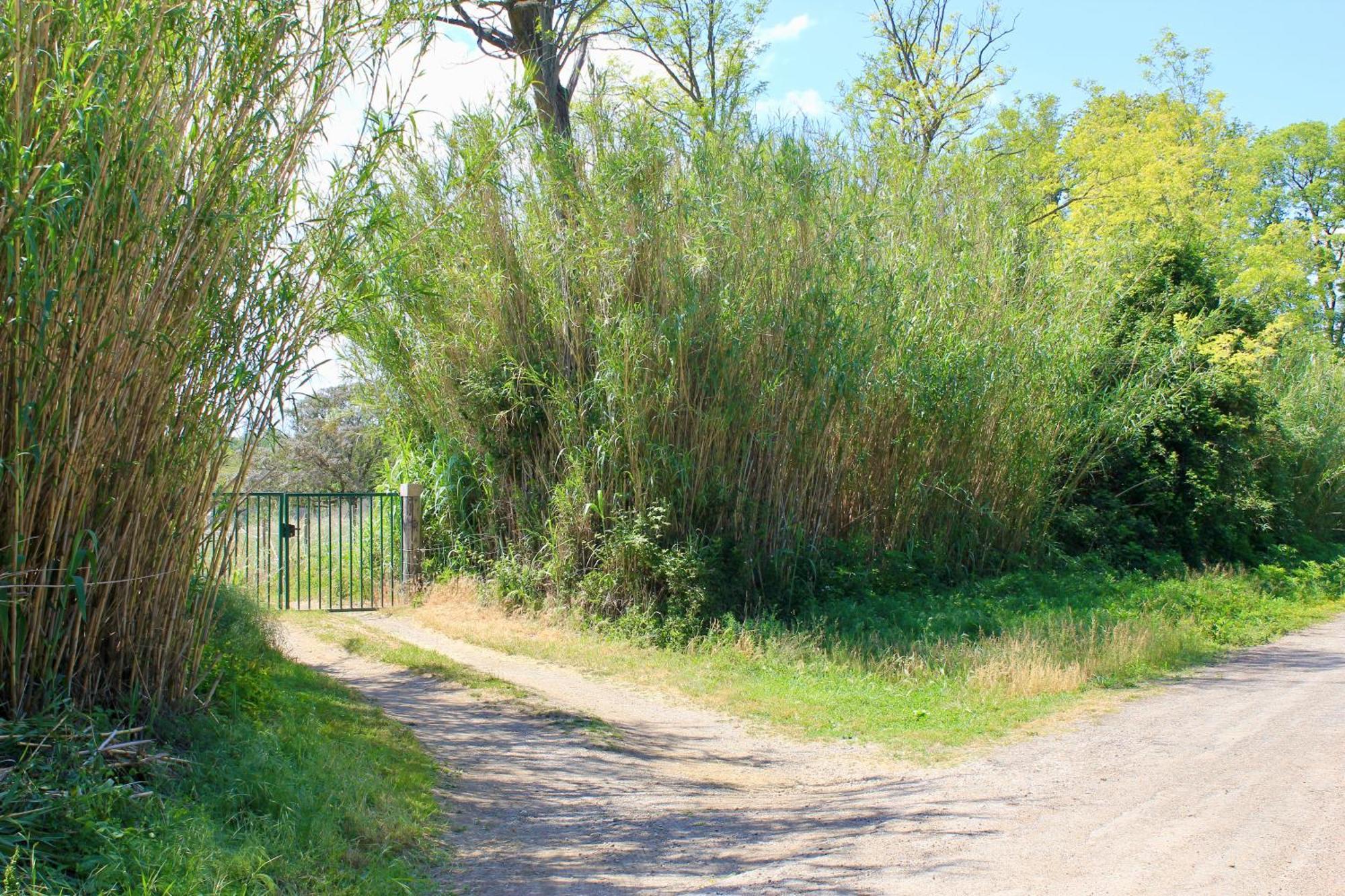 Lobilum En Camargue Villa Saint-Martin-de-Crau Luaran gambar
